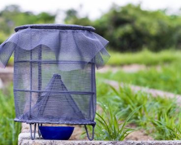 Fertilizantes ecologicos