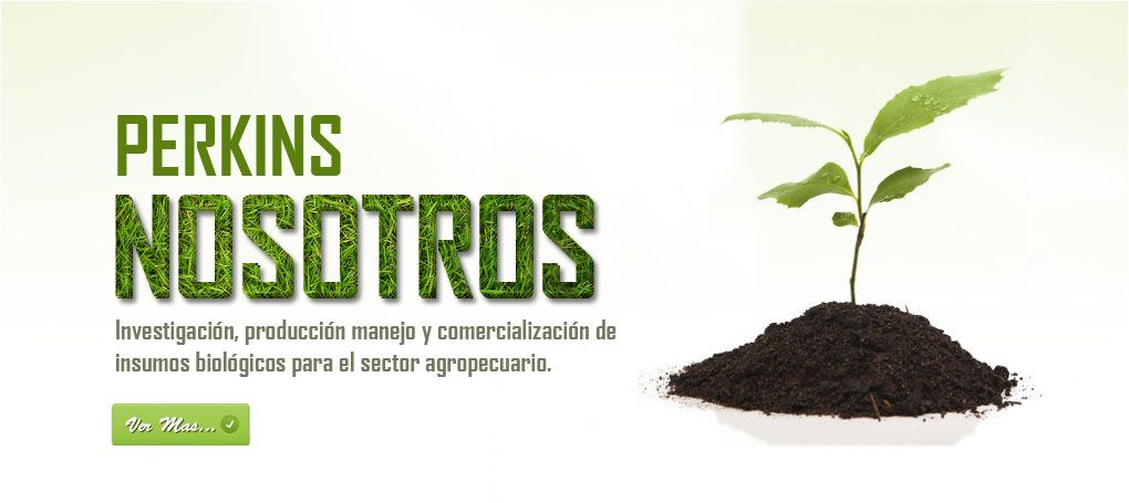 Principios ecologicos